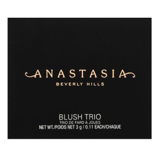 Anastasia Beverly Hills Blush Trio - Peachy Love Puderrouge 9 G